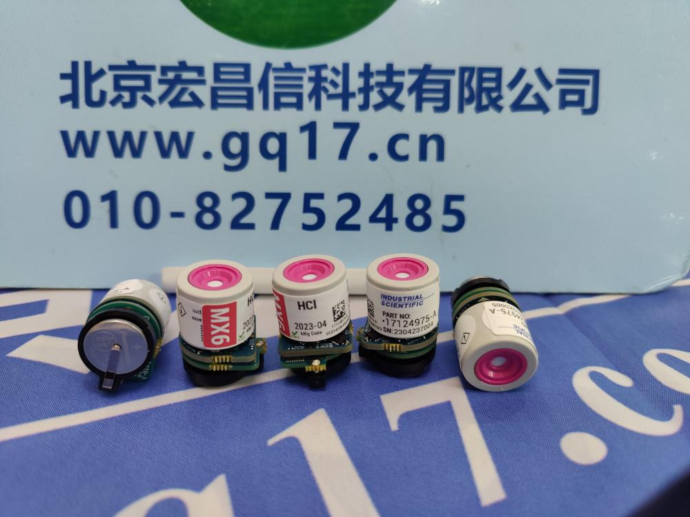 美国英思科 MX6 氯化氢(HCL)传感器  